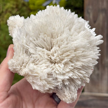 Load image into Gallery viewer, Specimen - White Scolecite Spray
