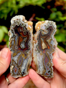 Museum Grade Turkish Agate Pair • Turkey • POLISHED