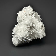 Load image into Gallery viewer, High-Grade Chrysanthemum Quartz (Needle Quartz) Spray Cluster | Jiangxi, China
