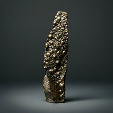 Load image into Gallery viewer, Botryoidal Stalactite Goethite (Iron Oxyhydroxide) Display Specimen | Turkey
