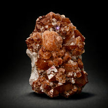 Load image into Gallery viewer, Rare Red Apophyllite + Druzy Red Stilbite Flowers — Deccan Traps, India
