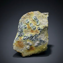 Load image into Gallery viewer, High-Grade Green Wavellite Collectors Specimen - Radiating Botryoidal Crystal Formation - Arkansas, USA
