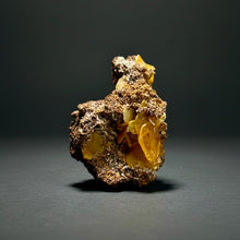 Load image into Gallery viewer, High-Grade Orange Wulfenite Collector Display Specimen | La Morita Mine, Chihuahua, Mexico
