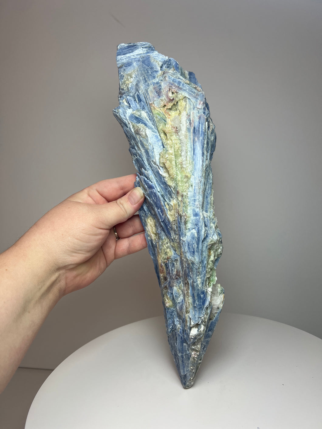 Blue Kyanite + Green/Red Lepidolite Mineral Collector’s Showpiece • Brazil