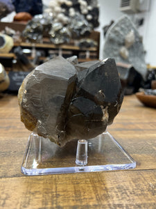 Smoky Quartz Cluster Display Specimen