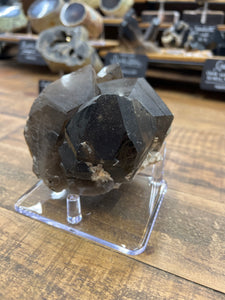 Smoky Quartz Cluster Display Specimen