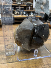 Load image into Gallery viewer, Smoky Quartz Cluster Display Specimen
