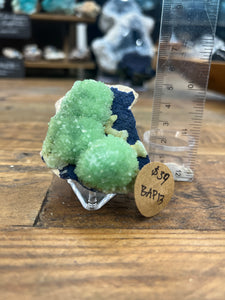 BlueGreen Aragonite Specimen • Pakistan