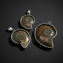 Load image into Gallery viewer, PENDANT | Ammonite Fossil | 925 Silver Plated
