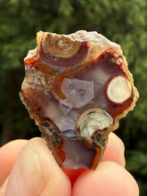 Load image into Gallery viewer, Rare Moroccan Orbicular Agate Collected by Indigenous Nomads | Ancient Beauty from the Sahara
