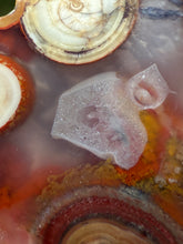 Load image into Gallery viewer, Rare Moroccan Orbicular Agate Collected by Indigenous Nomads | Ancient Beauty from the Sahara

