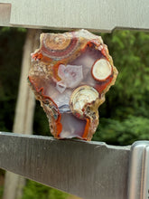 Load image into Gallery viewer, Rare Moroccan Orbicular Agate Collected by Indigenous Nomads | Ancient Beauty from the Sahara
