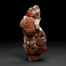 Load image into Gallery viewer, Rare Red Apophyllite + Druzy Red Stilbite Flowers — Deccan Traps, India
