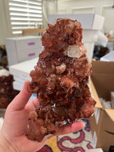 Load image into Gallery viewer, Red Druzy Phantom Apophyllite w Stilbite VERY RARE • Maharashtra, India
