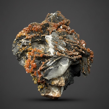 Load image into Gallery viewer, Natural Vanadinite on Matrix | Collector Mineral Specimen | Morocco
