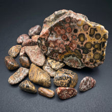 Load image into Gallery viewer, Tumbled - Leopardite - sm
