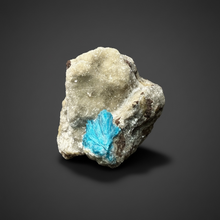 Load image into Gallery viewer, Rare Electric Blue Cavansite on Druzy Matrix – Collector Mineral Specimen | India
