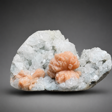 Load image into Gallery viewer, FINE MINERAL | Gem Apophyllite with Spectacular Pink Stilbite Flower | Maharashtra, India
