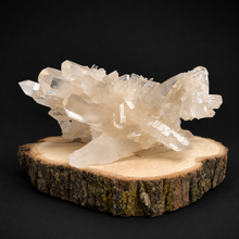 Load image into Gallery viewer, Himalayan Quartz Cluster from India
