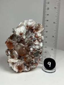 Red Phantom Pagoda Flower Pedal Calcite from Hubei Province, China • High Grade High Shine • Mineral Collector’s Showpiece