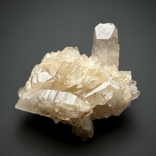 Load image into Gallery viewer, Himalayan Quartz Point Cluster on Matrix | Collector Mineral | India

