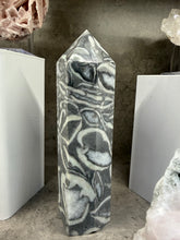 Load image into Gallery viewer, TOWER | Clam Fossil Jasper
