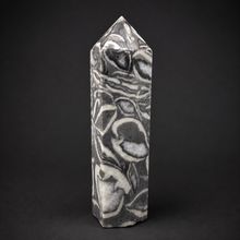 Load image into Gallery viewer, TOWER | Clam Fossil Jasper
