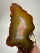 Load image into Gallery viewer, High-Grade Indonesian Sumatra Agate Pair – Vibrant Banded Chalcedony with Rich Color Zoning | Ethical Lapidary &amp; Collector Display Specimens
