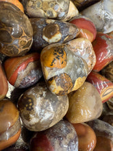Load image into Gallery viewer, TUMBLE • Cobra Jasper
