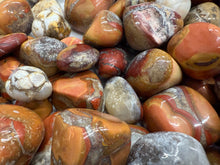 Load image into Gallery viewer, TUMBLE • Cobra Jasper
