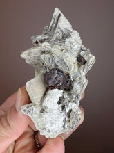 Load image into Gallery viewer, Silver Star Mica + Spessartine Garnet Origin: Shengus-Mine, Skardu, Pakistan
