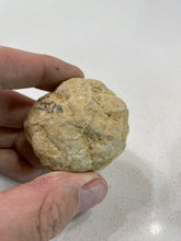 Load image into Gallery viewer, GEODE | Moroccan Geode | Morocco | Breakable
