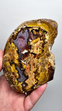 Load and play video in Gallery viewer, MUSEUM Turkish Agate with Intriguing Inclusions – Great Sticks, Banding and Eyes - Turkey
