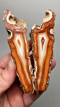 Load and play video in Gallery viewer, High-Grade Indonesian Sumatra Agate Pair – Vibrant Banded Chalcedony with Rich Color Zoning | Ethical Lapidary &amp; Collector Display Specimens
