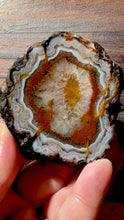 Load and play video in Gallery viewer, Rare Moroccan Orange Plume Carnelian Agate Collected by Indigenous Nomads | Ancient Beauty from the Sahara
