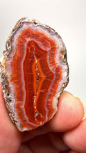 Load and play video in Gallery viewer, Polished Malawi Agate Half – High-Grade African Banded Agate Display Specimen
