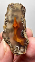 Load and play video in Gallery viewer, Polished Malawi Agate Half – High-Grade African Banded Agate Display Specimen
