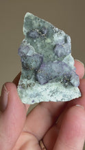 Load and play video in Gallery viewer, Bi-Color Purple &amp; Green Fluorite + Druzy Golden Pyrite on Druzy Silver Chalcedony • China
