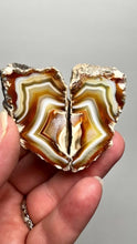 Load and play video in Gallery viewer, High-Grade Indonesian Sumatra Agate Pair – Vibrant Banded Chalcedony with Rich Color Zoning | Ethical Lapidary &amp; Collector Display Specimens

