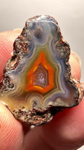 Load and play video in Gallery viewer, Lot of 9 Small Malawi Agate Halves – Polished Rare Colorful Collector Specimens
