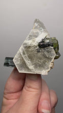 Load and play video in Gallery viewer, Blue Cap &amp; Green Cap Dark Green Stak Nala Tourmaline on Cleavelandite Matrix – Haramosh Mountains, Pakistan
