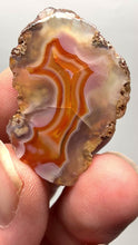 Load and play video in Gallery viewer, Polished Malawi Agate Half – High-Grade African Banded Agate Display Specimen
