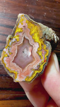 Load and play video in Gallery viewer, Rare Moroccan Pink &amp; Yellow Plume Agate Collected by Indigenous Nomads | Ancient Beauty from the Sahara
