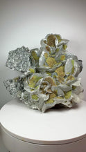 Load and play video in Gallery viewer, 7 Full Color Spectrum Druzy Chalcopyrite on Silver Pedal Calcite • from Hubei Province, China • Mineral Collector’s Showpiece Specimen
