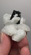 Load and play video in Gallery viewer, Dark Green Cap Stak Nala Tourmaline on Cleavelandite Matrix – Haramosh Mountains, Pakistan
