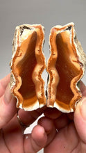 Load and play video in Gallery viewer, Indonesian Sumatra Agate Pair – Vibrant Banded Chalcedony with Rich Color Zoning | Ethical Lapidary &amp; Collector Display Specimens
