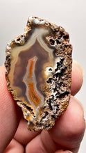 Load and play video in Gallery viewer, Polished Malawi Agate Half – High-Grade African Banded Agate Display Specimen
