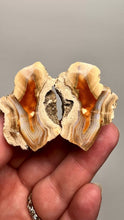 Load and play video in Gallery viewer, High-Grade Indonesian Sumatra Agate Pair – Vibrant Banded Chalcedony with Rich Color Zoning | Ethical Lapidary &amp; Collector Display Specimens
