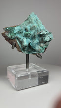 Load and play video in Gallery viewer, Chrysocolla Druzy Botryoidal Stalactites Pseudomorph after Malachite on Matrix from Congo • Fine Mineral Collector’s Showpiece
