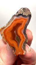 Load and play video in Gallery viewer, Polished Malawi Agate Half – High-Grade African Banded Agate Display Specimen
